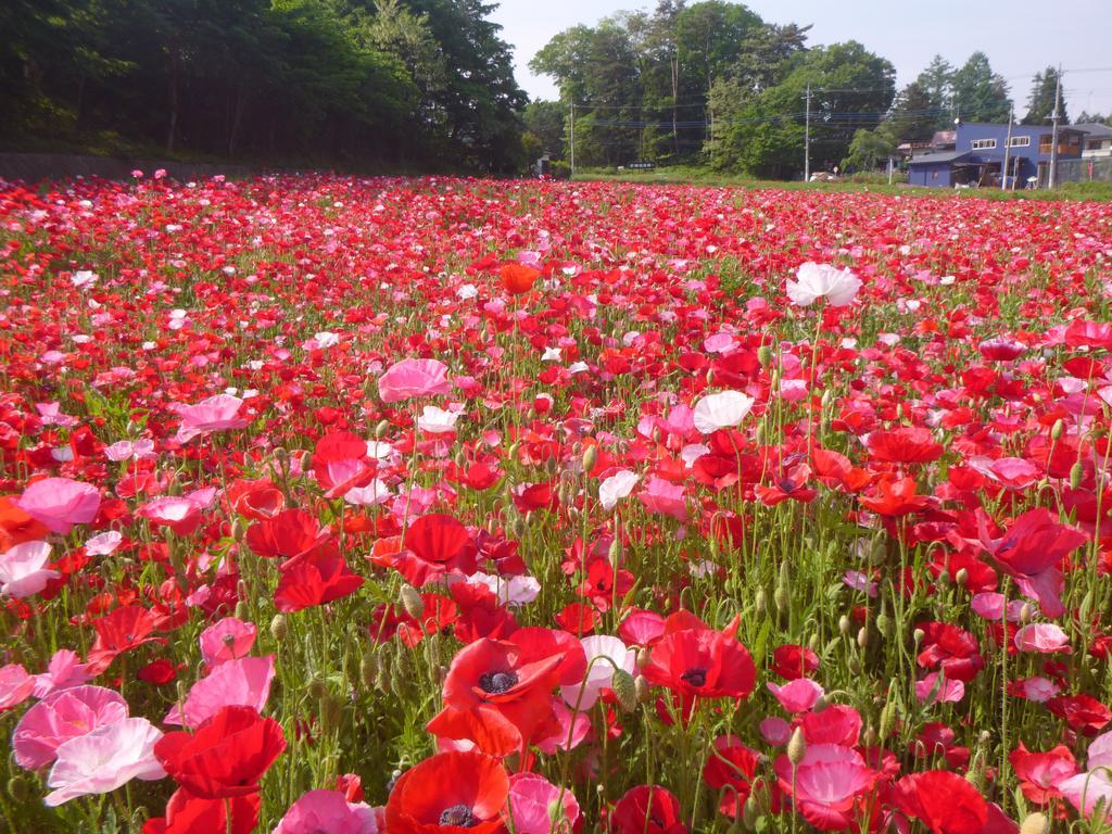 Yumoto Rakuzenso Hotel Numata  Luaran gambar